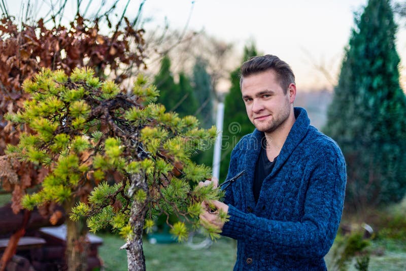 Man Pruning Japanese Bonsai Tree Stock Photo Image of enjoyment