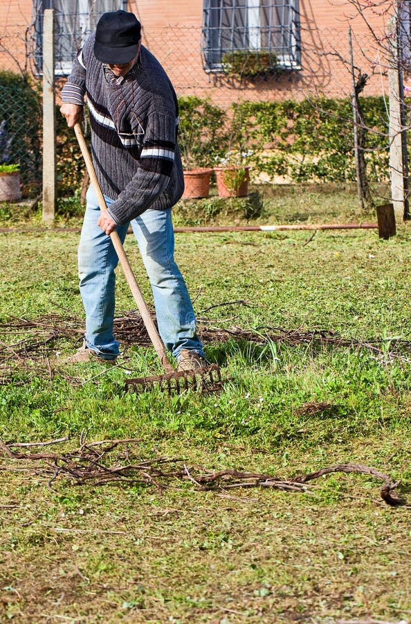 Man Raking the Garden royalty free stock image