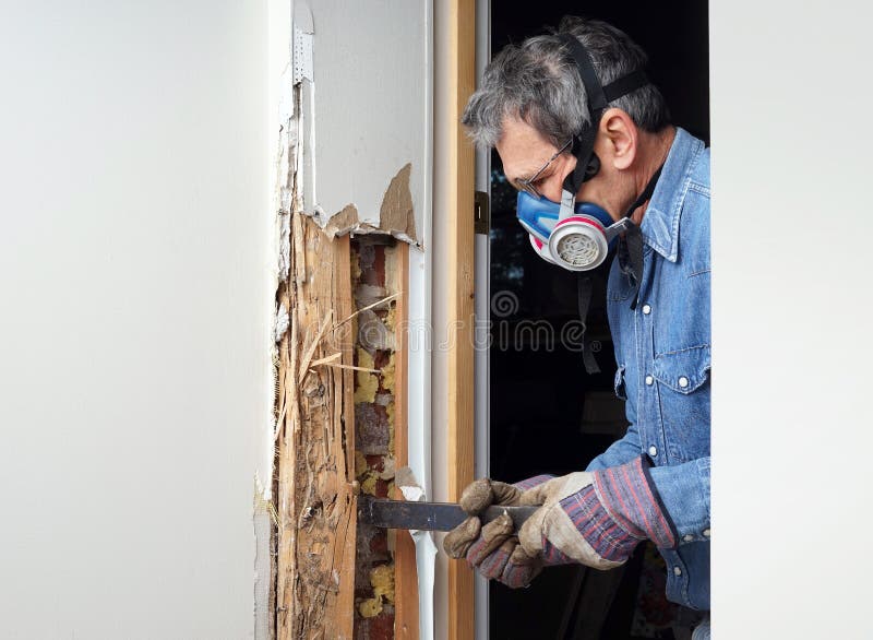 Man removing termite damaged wood from wall