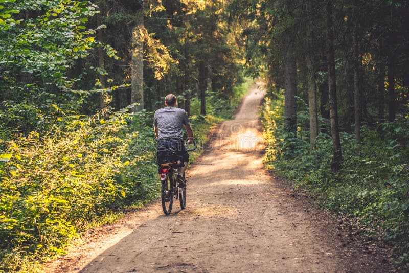 Man Riding a Bike in Forest Stock Image - Image of trees, fresh: 64298375