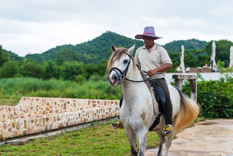 man riding white horse