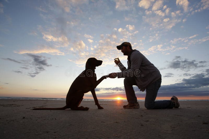 Hombre su el perro compartir sobre el atardecer.