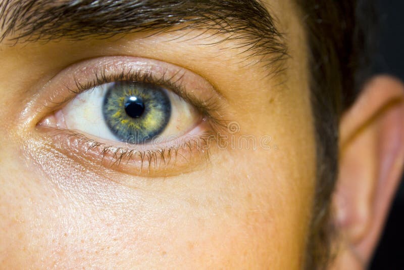Closeup of a male blue eye staring straight. Clear closeup view stock images, royalty-free photos and pictures