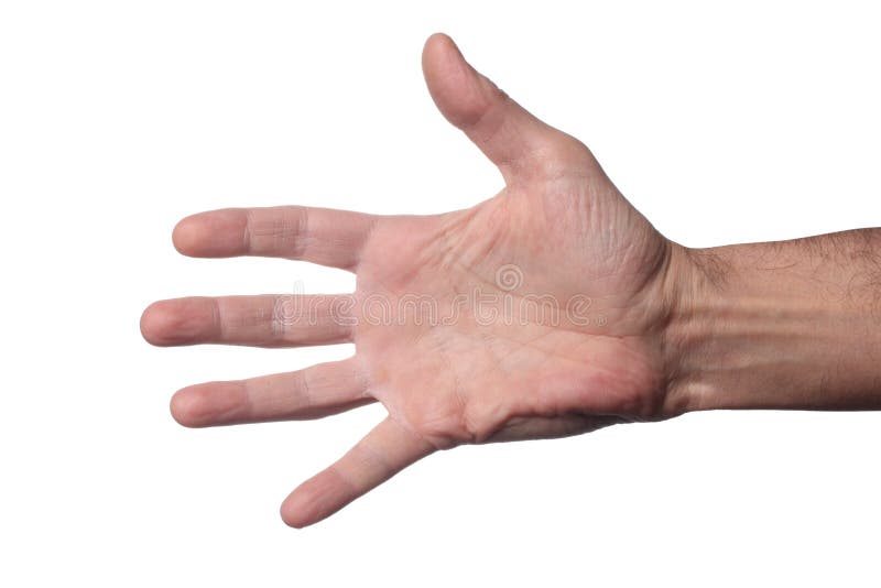 Open caucasian man`s hand making gesture isolated on white background royalty free stock photography
