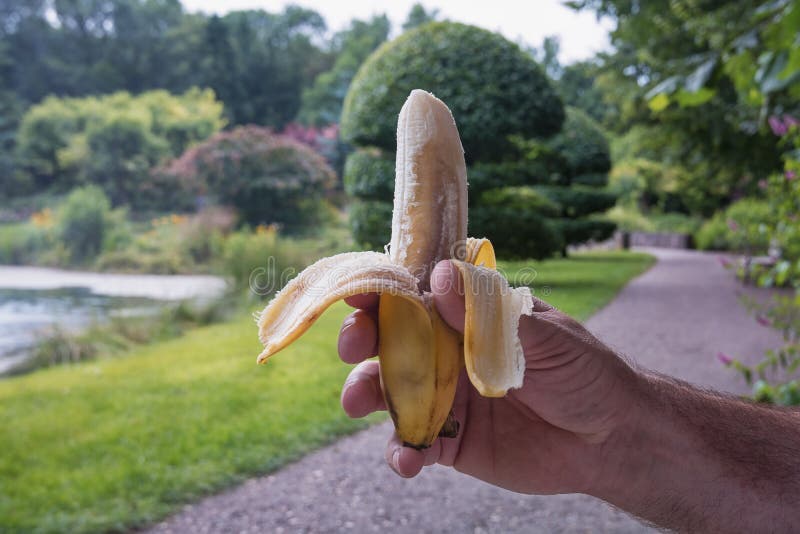 Peeled Banana In White Male Hand Stock Image Image Of Male Palm