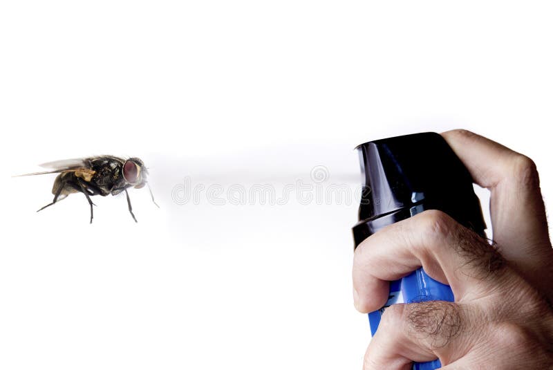 Hand Throwing Insecticide on a Fly Stock Photo Image of spraying, insect 234673760
