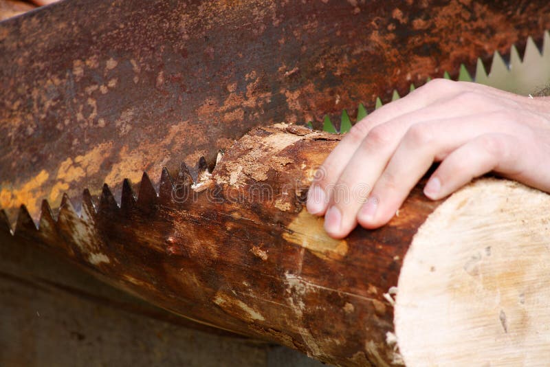 Man saws a log stock photo. Image of work, rusty, hand 120654568