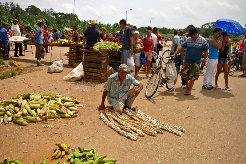 Man selling garlic, corn an bananas in Cuba stock images Man selling garlic, corn an bananas in Cuba stock images