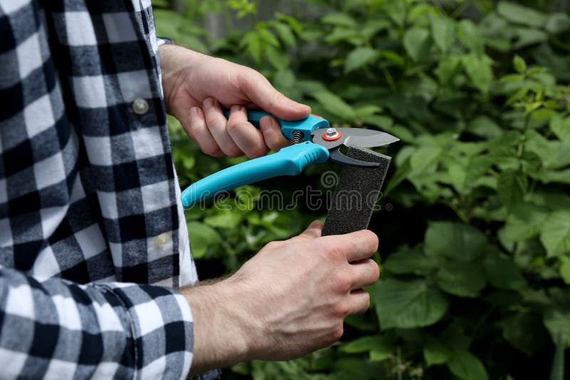 Sharpen Pruner Stock Photos Free & RoyaltyFree Stock Photos from