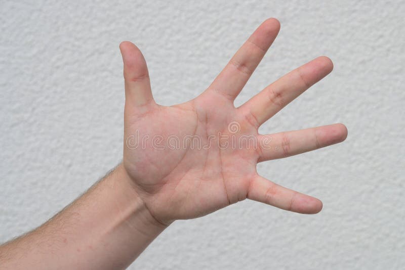 Gesture Male Hand Open Palm with Five Fingers Stock Photo - Image