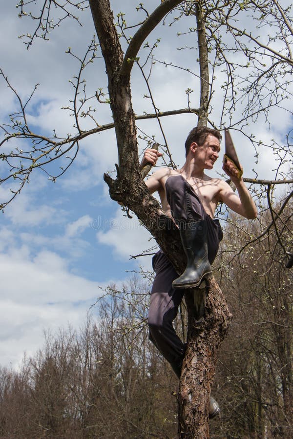 258 Young Man Cutting Branch Garden Stock Photos Free & RoyaltyFree