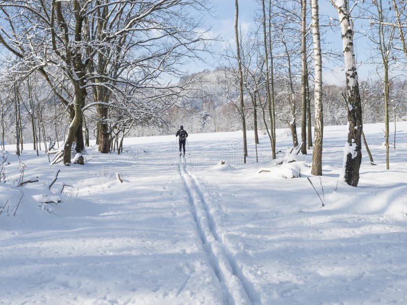 Man skier fugure on ski run. Cross-country skiing at winter field landscape with snowy trees near village Cvikov in