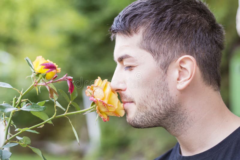 Smiling Man Smelling a Rose Stock Photo Image of happy, holding 60627154