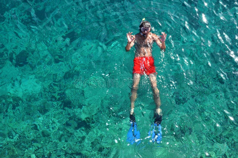 Man Snorkeling at Phi Phi Island, Phuket, Thailand Stock Photo Image
