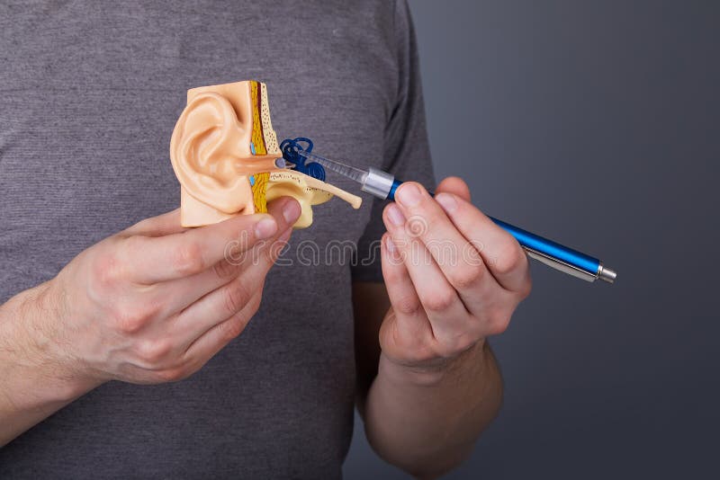 Man som rymmer och pekar med den medicinska otoscopen p? modellen av det m?nskliga inre ?rat fotografering för bildbyråer Man som rymmer och pekar med den medicinska otoscopen p? modellen av det m?nskliga inre ?rat fotografering för bildbyråer