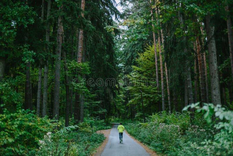 Man spring på banan i gammal grön skog arkivbild Man spring på banan i gammal grön skog arkivbild