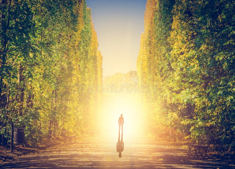 Man standing at the end of the path in autumn park, light shining royalty free stock images