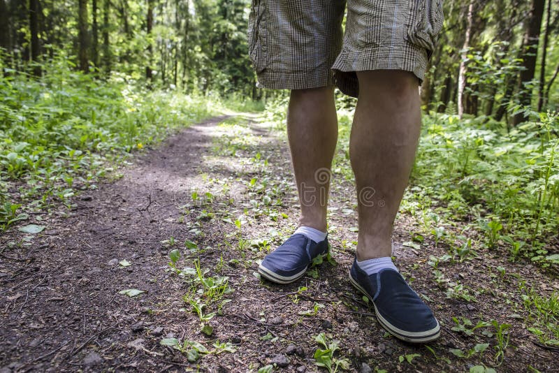 A Man Standing on the Footpath after a Long Walk in the Woods Stock ...