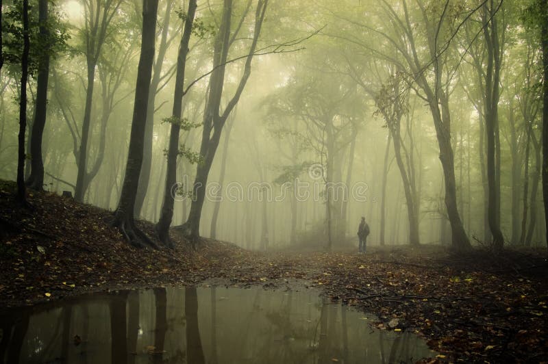 Man standing in a green forest with fog and trees