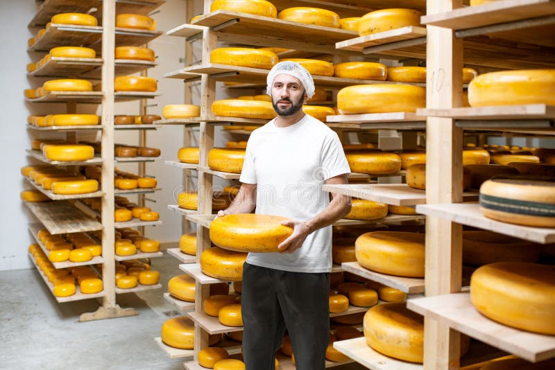 Cheese Maker at the Cheese Storage Stock Image Image of stack