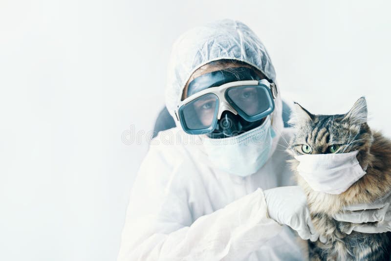 Man in suit and cat in a medical mask