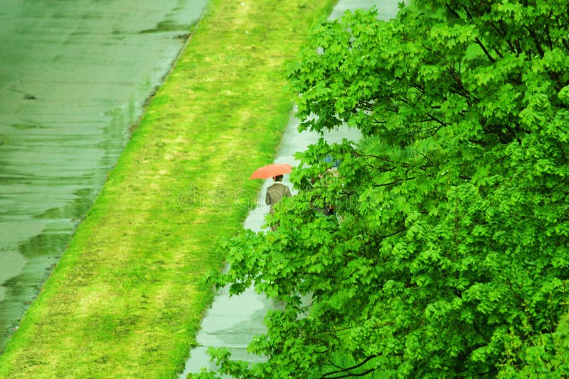 Man with umbrella