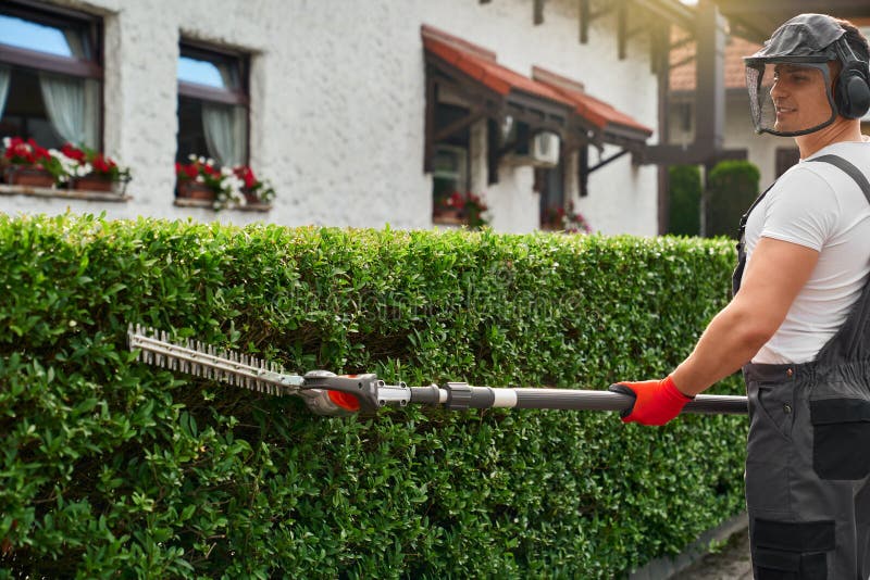 Man In Uniform Trimming Bushes With Hand Electric Cutter Stock Image Image Of Gardening Bush