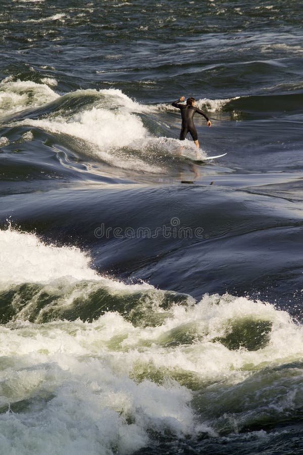 A man wakeboarding on the St. Lawrence river in Montreal royalty free stock photos A man wakeboarding on the St. Lawrence river in Montreal royalty free stock photos