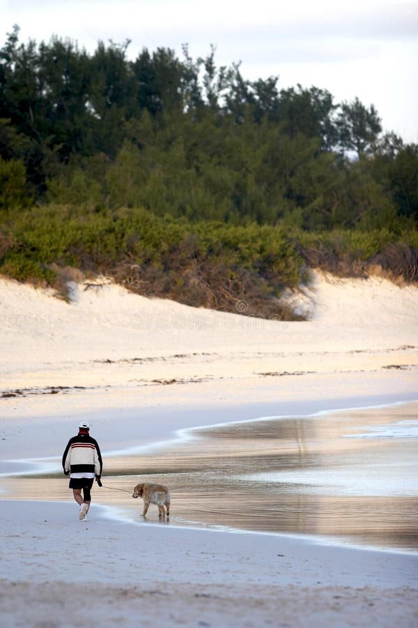 Man walking dog on beach