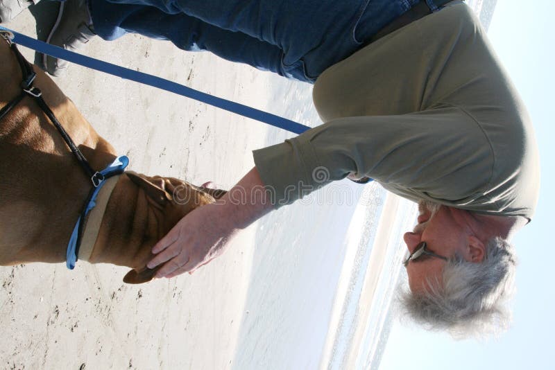 man walking dog on beach