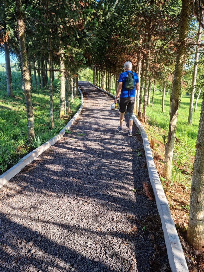 Man Walking on a Gravel Path through the Trees Stock Photo Image of