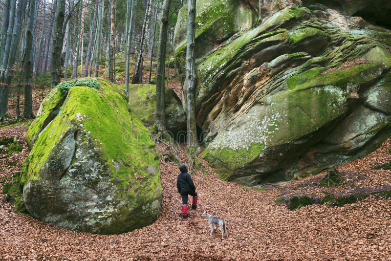 Man walking with his dog in the woods