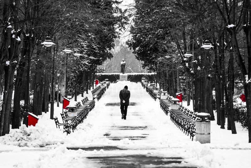 Man walking in park in winter