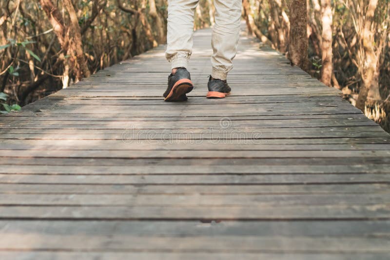 Man is Walking on Small Wood Bridge To Nature Walk Way with Sunlight ...
