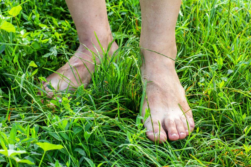 Barefoot Man Walks on the Dewy Green Grass Stock Image - Image of ...