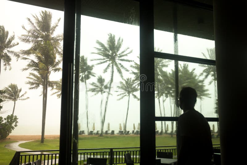 Man watching monsoon and coconut tree on the beach blowing in th