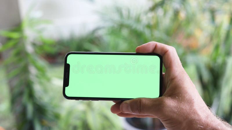 Man Watching A Smart Phone With Chroma Key Green Screen royalty free stock image Man Watching A Smart Phone With Chroma Key Green Screen royalty free stock image