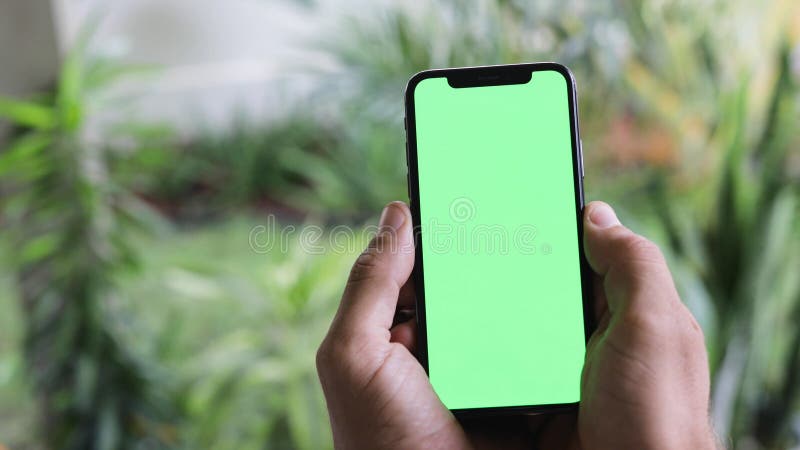 Man Watching A Smart Phone With Chroma Key Green Screen stock photography Man Watching A Smart Phone With Chroma Key Green Screen stock photography