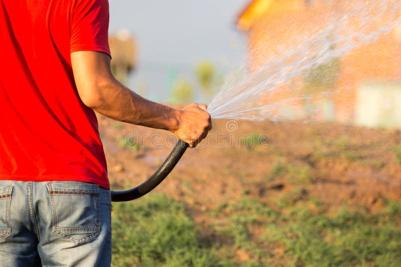 Man Watering the Lawn with a Hose Stock Photo Image of garden