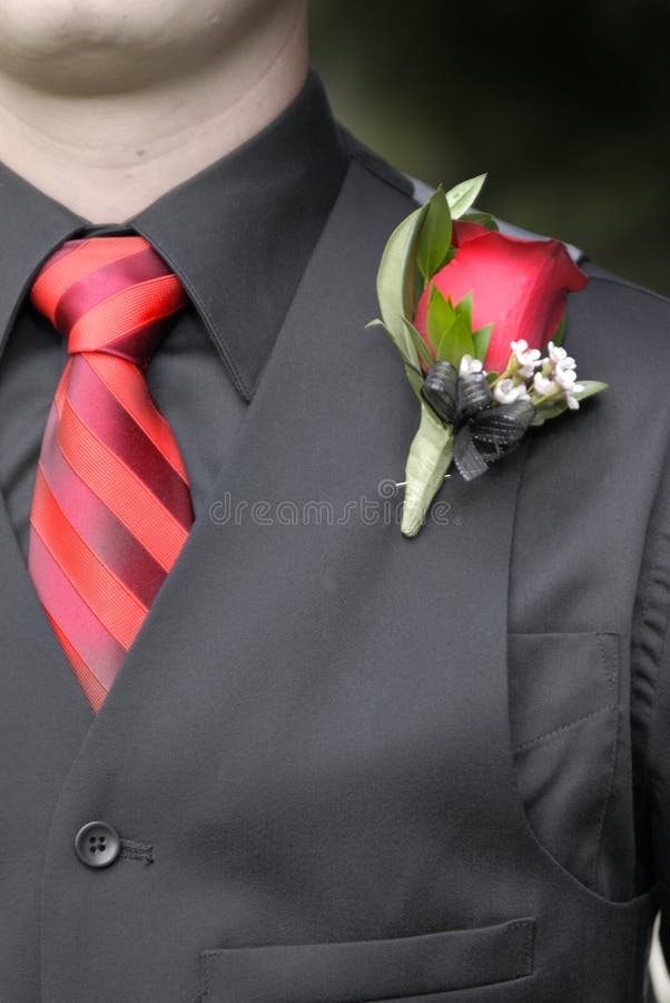 Man Wearing Formal Suit Tie and Flower Stock Image Image of jacket