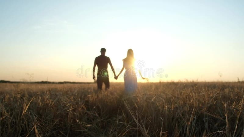 A man and a woman in love walk in a wheat field during a colorful summer sunset