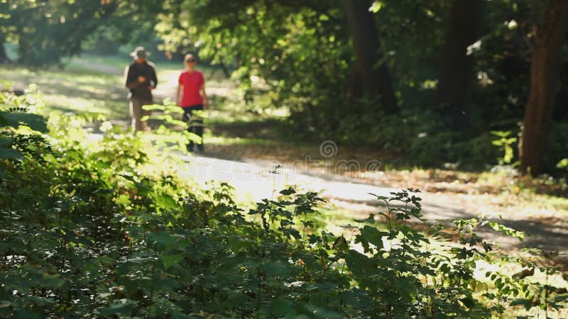 Man and woman walking outdoors on sunny day