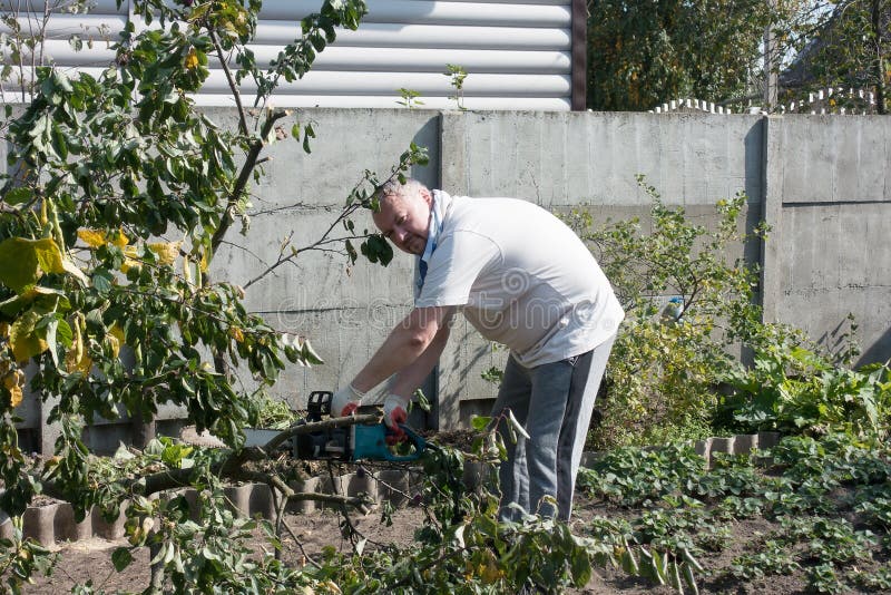 Man working in the garden royalty free stock photo