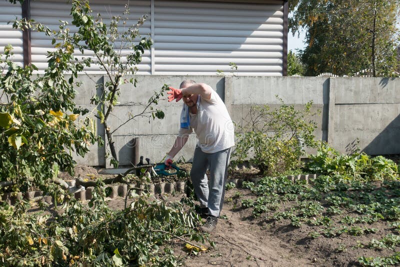 Man working in the garden stock photography