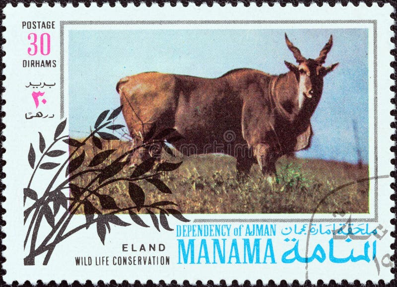 MANAMA DEPENDENCY - CIRCA 1971:在阿拉伯联合酋长国印有的一枚印有1971年左右的红斑羚 免版税库存照片 MANAMA DEPENDENCY - CIRCA 1971:在阿拉伯联合酋长国印有的一枚印有1971年左右的红斑羚 免版税库存照片