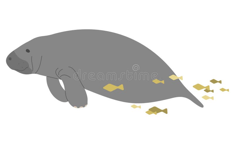 Manatees Stock Illustrations – 174 Manatees Stock Illustrations ...