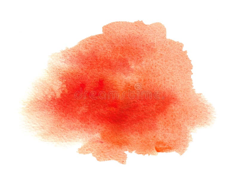 Colourworks CWBRUSHRED Color Rojo Pincel de repostería 