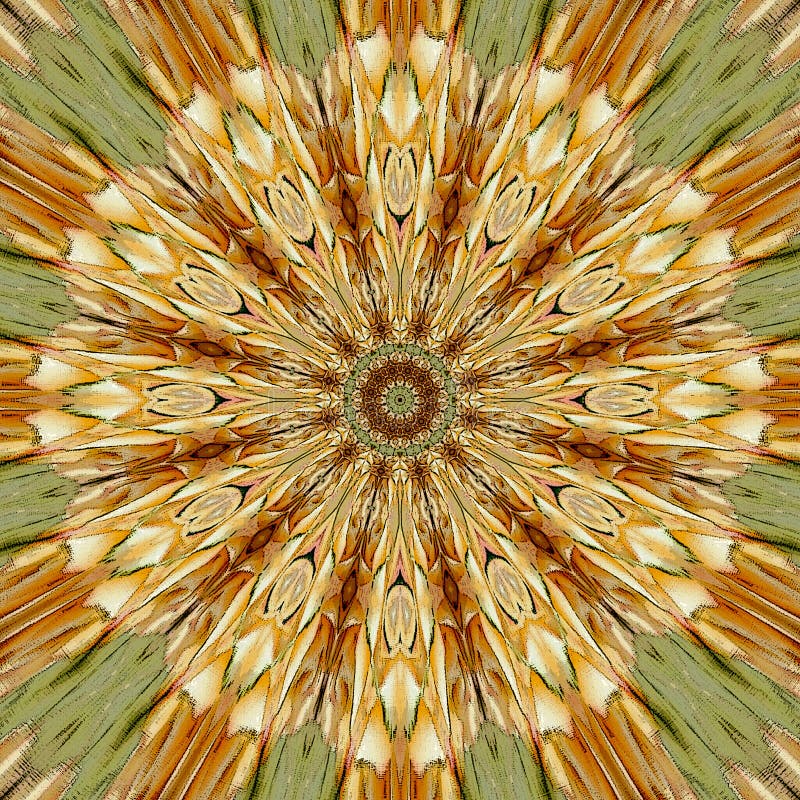 Mandala de oro del círculo con la flor del arabesque en el centro libre illustration Mandala de oro del círculo con la flor del arabesque en el centro libre illustration