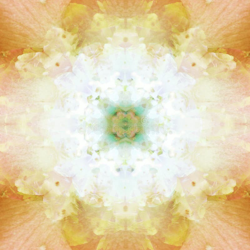 VICTORIAN MANDALA, FLOWERS IN THE CENTER, PETALS IN THE BACKGRAOUND IN ORANGE PASTEL. VICTORIAN MANDALA, FLOWERS IN THE CENTER, PETALS IN THE BACKGRAOUND IN ORANGE PASTEL