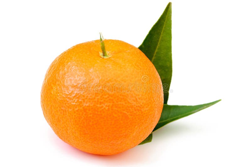 Mandarin Fruit with Leaf Isolated Stock Image Image of food, mandarin 86513945